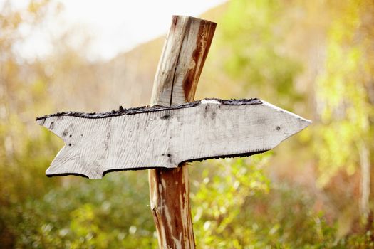 Rough homemade wooden pointer made by chainsaw