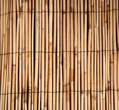 Rush or bamboo texture natural background