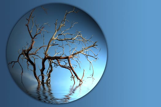 Bare tree branch button on blue background