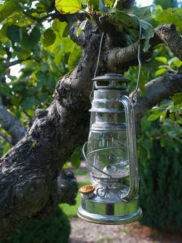 Classical oil lamps hanged on a tree in a garden - vertical image