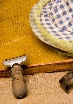 Basic attributes of every beekeeper imieszczone on a black background in studio