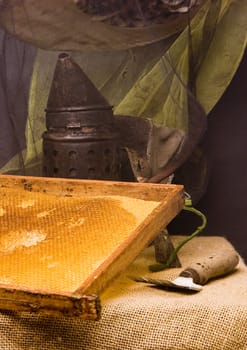 Basic attributes of every beekeeper imieszczone on a black background in studio