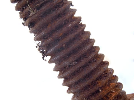 Old rusty bolt on a white background.