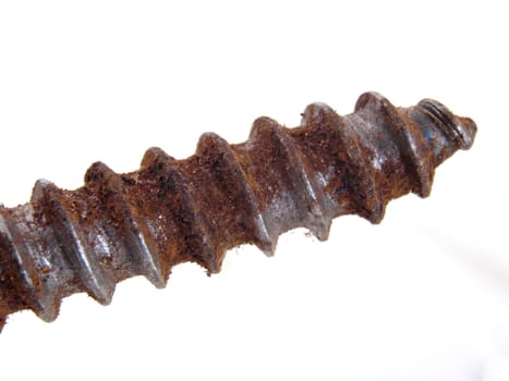 Old rusty screw on a white background.
