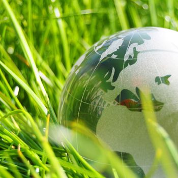 eco ecology or environmental concept with green grass globe and copyspace