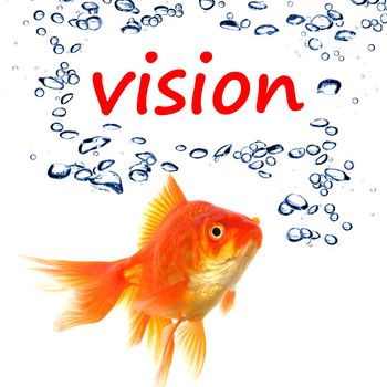 vision wird and goldfish showing business creativity or future telling concept