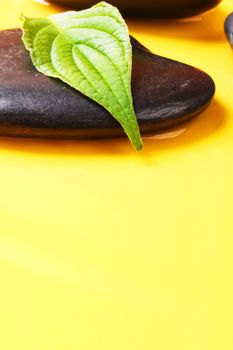 spa or zen still life with stone leaf and copyspace