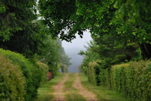 Pathway in the countryside in a morning fog