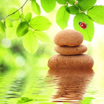 zen stones and green summer leaves with water reflection