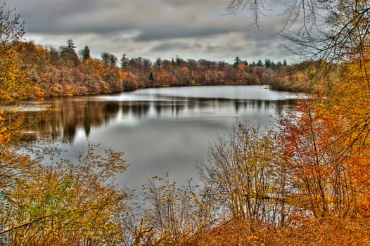 view of far lake shore in autumn