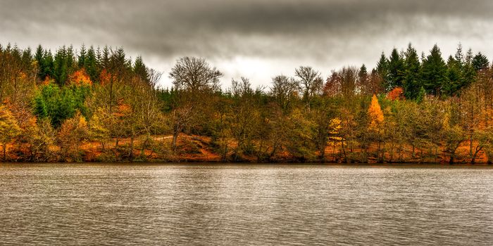 view of far lake shore in autumn