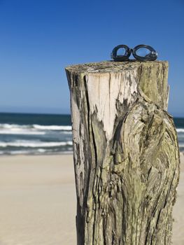 A pair of goggles sitting over a log in the beach.