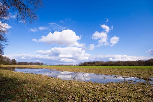 farmland after the rain with puddle and blue sky and some clouds
