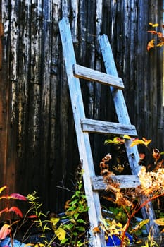 Dramatic rendering of an wood ladder against the wall of a very old cabin in the colorful fall forest.