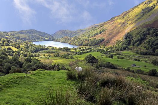 View of Llyn Gwynant in Snowdonia National Park Gwynedd North Wales