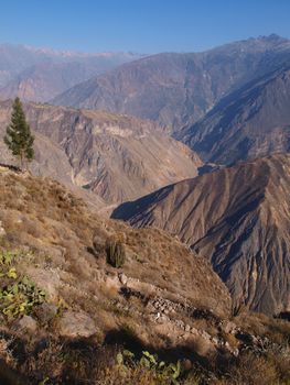 Daybreak - Mountains over the Colca Canyon