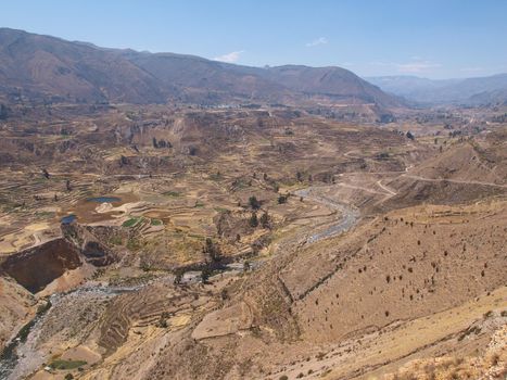 Terraces in Colca Canyon, Peru