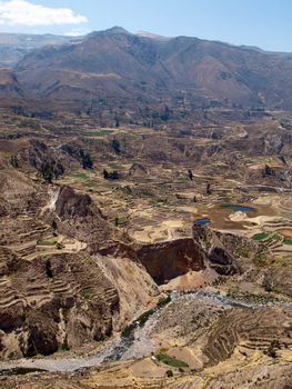 Terraces in Colca Canyon, Peru