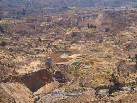 Terraces in Colca Canyon, Peru