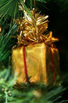 Gold box of a gift on a background of green fur-trees