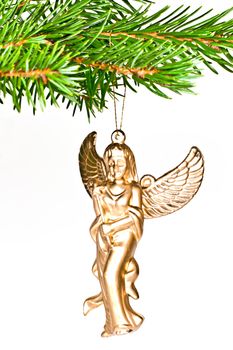 Christmas decoration angel on spruce branch. Isolated on a white background.