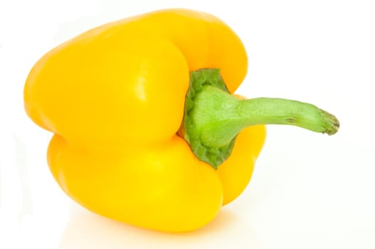 Close up, low level angle capturing a single yellow bell pepper isolated over white.