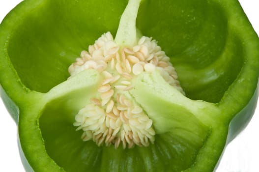 Close up of a green bell pepper cross section.