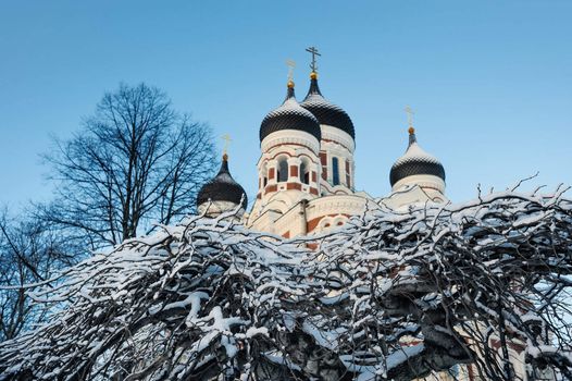 View of the Church through the branches covered with snow