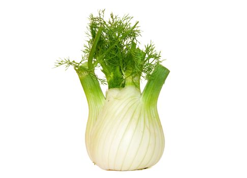 fennel isolated on white background