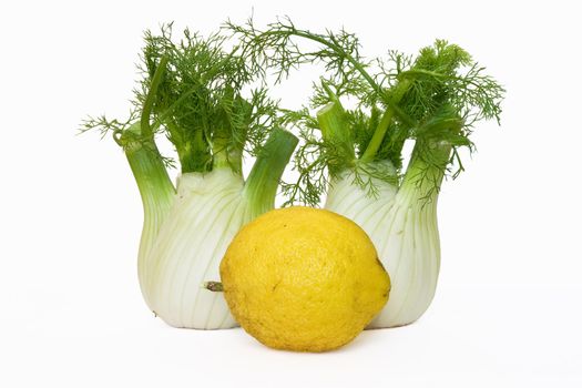two fennel, and lemon on white background
