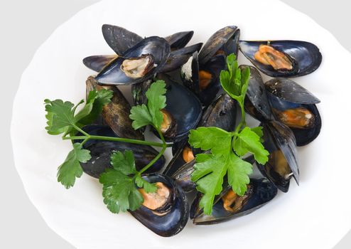 Boiled mussel with parsley, oil and lemon and garlic