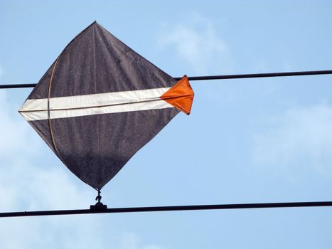 a black kite trapped in the wires