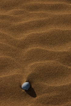 a seashell on a rippled golden sandy beach in county kerry ireland