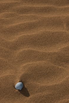 a seashell on a rippled golden sandy beach in county kerry ireland