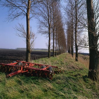 An old plough in the foreground of an avenue of trees