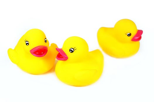 Three rubber yellow duck isolated on white