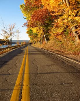 along a back country road, brightly colored Maple trees change during Autumn