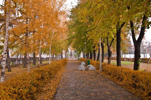 Autumn Park. Alley with yellow trees and fallen leaves. Fall