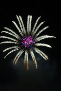 fireworks lighting in floral pattern at night