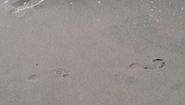 Footsteps In The Sand