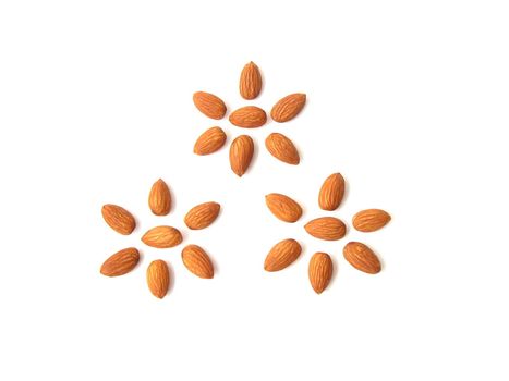 pattern of almond on the white background