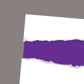 purple card background with white paper torn edges