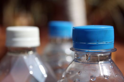 Plastic bottles containing mineral water.