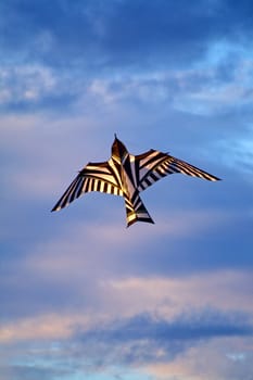 Kite flying over the blue cloudy sky