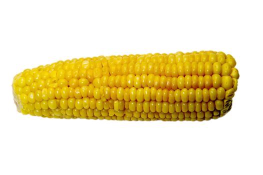 Corn ear taken as macro isolated on the white