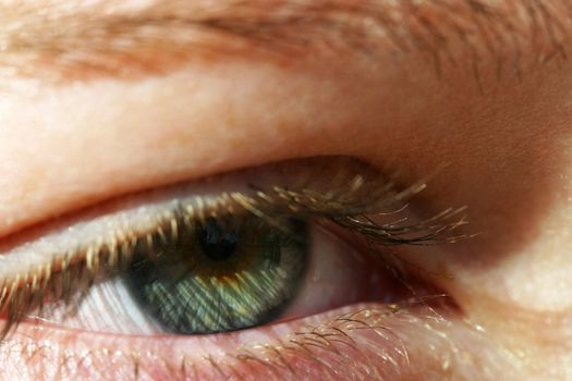 Extreme close-up of a green eye