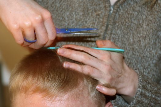 Hair cutting. Hair stylist at work with scissors
