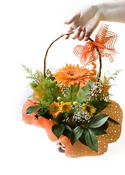 hand giving orange gerbera bouquet in basket over white