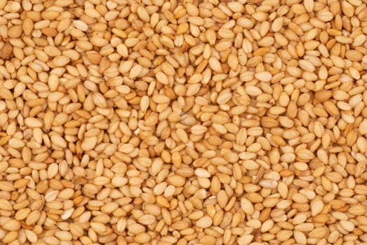 Full frame take of sesame seeds, food background