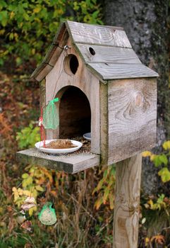 Beautiful made of wood birdhouse with lots of food in the forest
